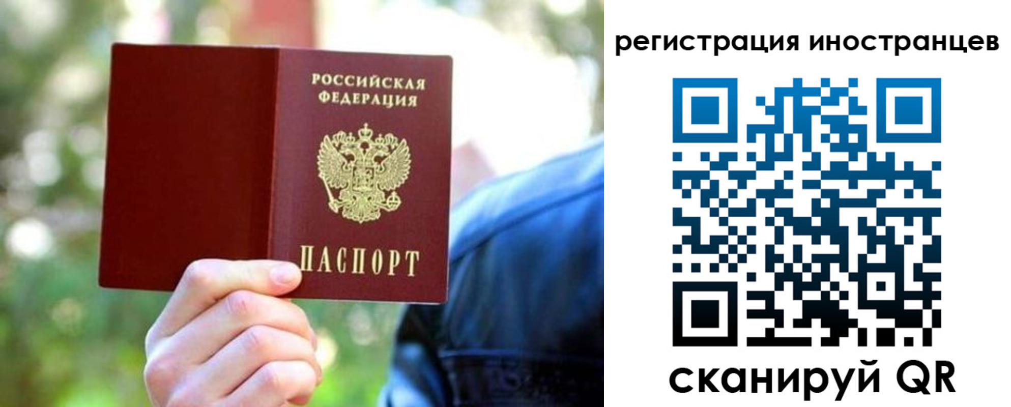 временная регистрация поиск в Шали